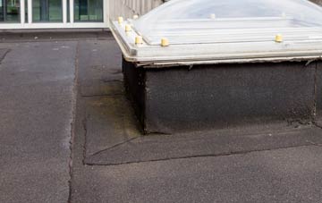 disadvantages of Dunira flat roofs