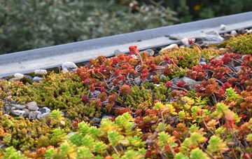 the cost of Dunira green roof installation