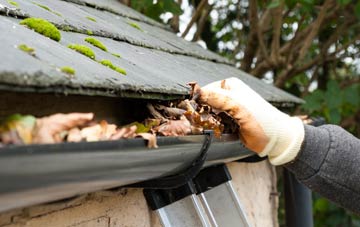 gutter cleaning Dunira, Perth And Kinross