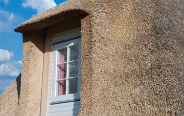 Dunira thatch roof disadvantages